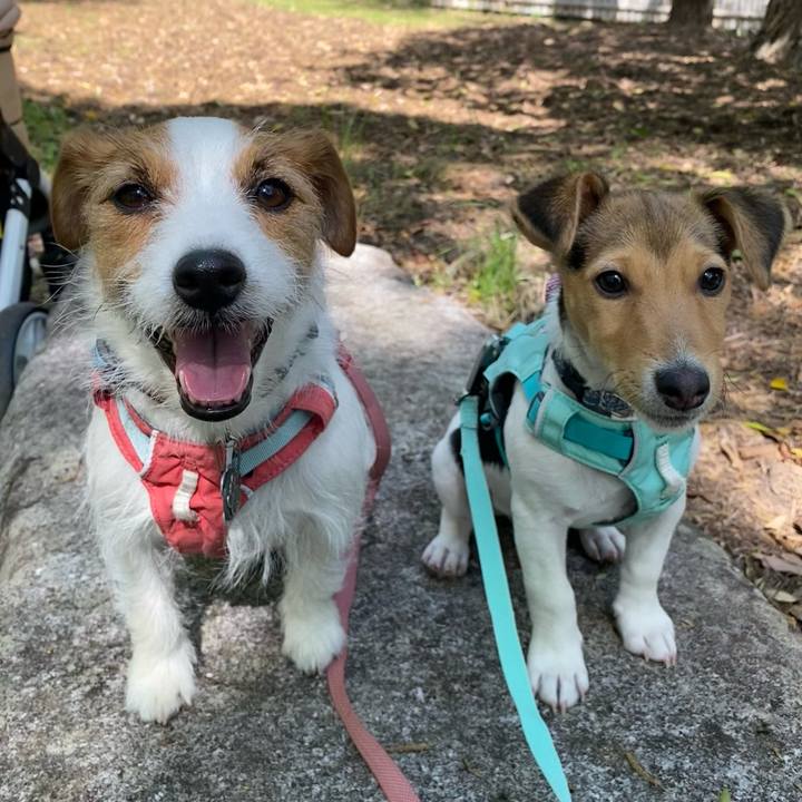 Eb4e9a61 8efe 4255 bcc1 2820c348882a 1745741883638