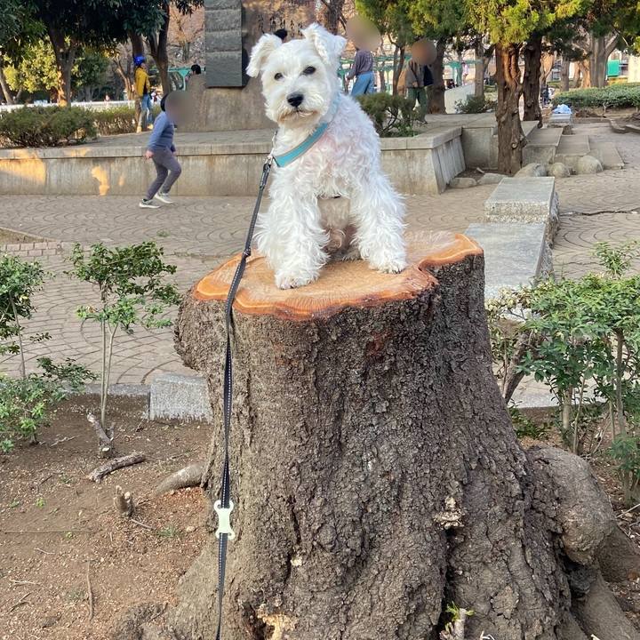 Eb4ea2cc 8b99 4df5 8312 5eb743e50c16 1773841908177