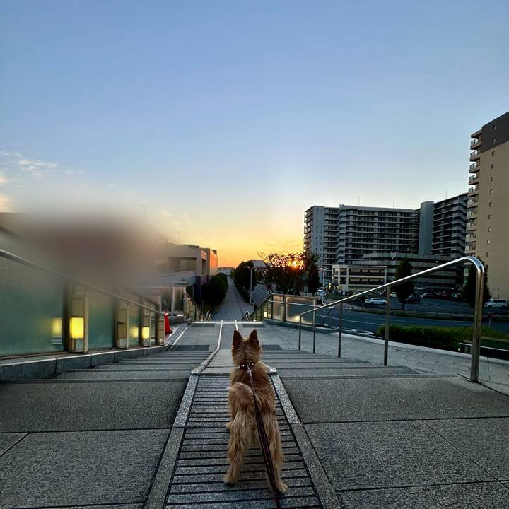 Eb4ed89f 3520 4faf b9ef 5b0dd8f3baa7 1731157361340