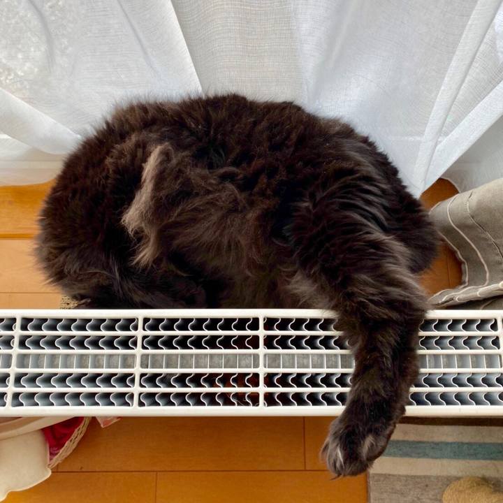 Eb4edd5e 6639 4ed5 ab46 becc95967146 1575469358964