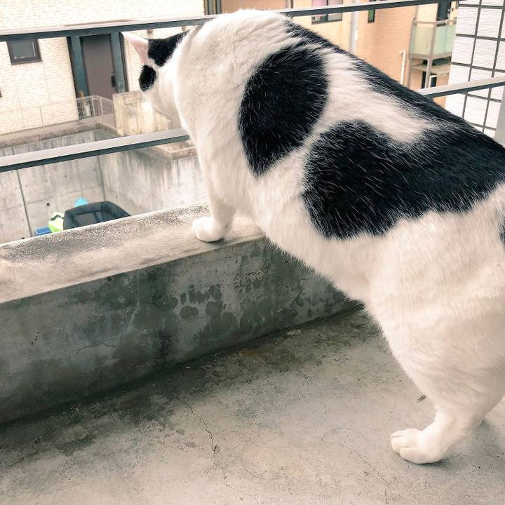 Eb4f0ad7 6ab6 4715 aa5c f6a6e7fa977c 1544860602013