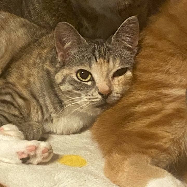 Eb4f1870 89c8 4f81 9a16 f6f93e4c603e 1620059814178