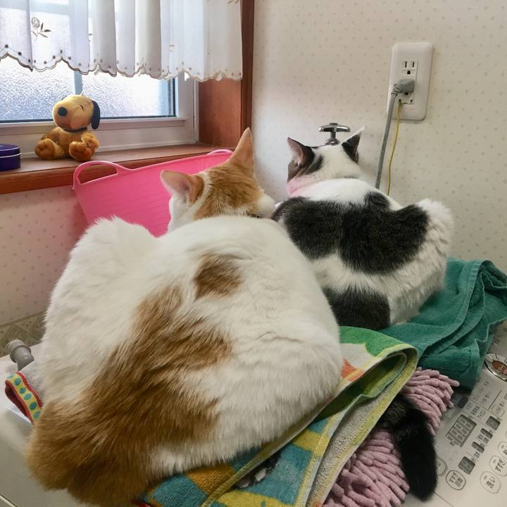 Eb4f3402 3e00 4ea2 b7fb fd25d7b7a860 1542494691709