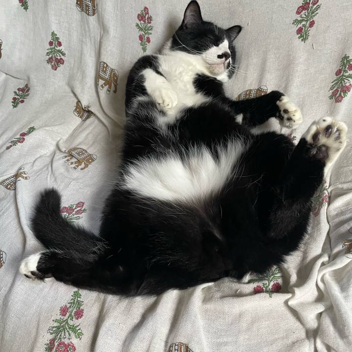 Eb4fe0d6 f566 4e91 b6c0 7bd021eba2f6 1721887483148