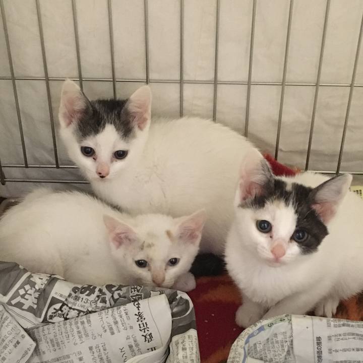 Eb4fe589 515f 4766 bd44 74104a31a0c4 1549449255243