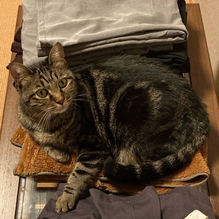 Eb4fed0d 5710 474a aed4 65db24f90ab5 1666704605938