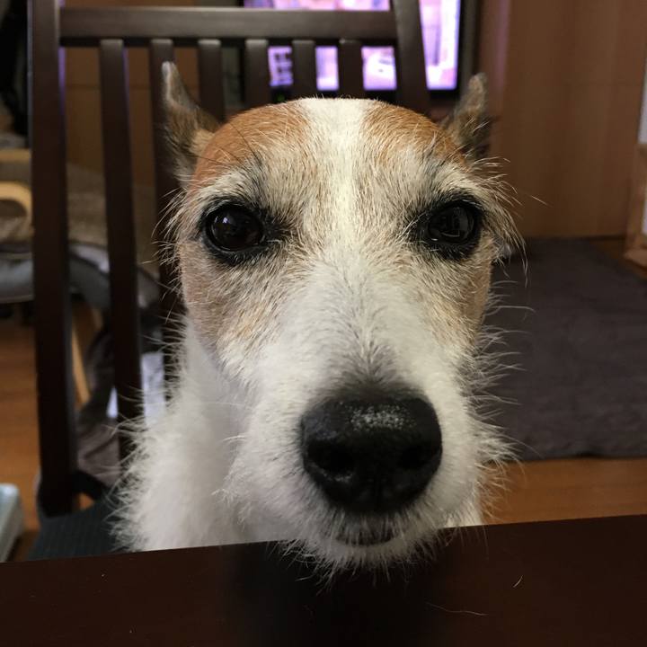 Eb50342f 6afd 4e12 ae2d aff68341b5da 1654126051259