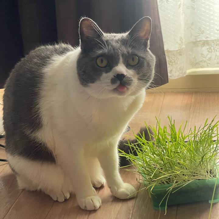 Eb503d12 d2a7 4019 a911 facb7bcb48b5 1712454632116