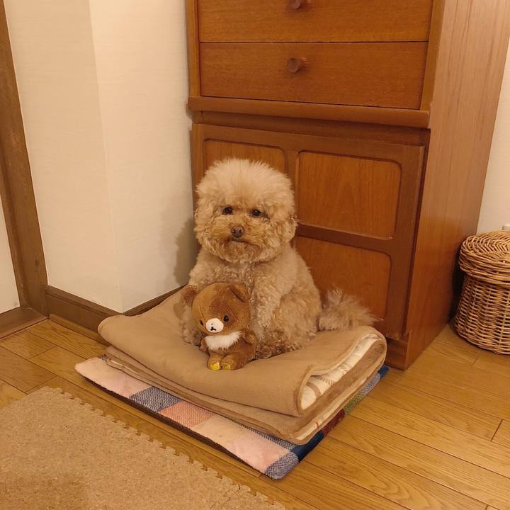 Eb50401e 838c 4be0 8a69 0fa5e1bc3ac5 1516703626204