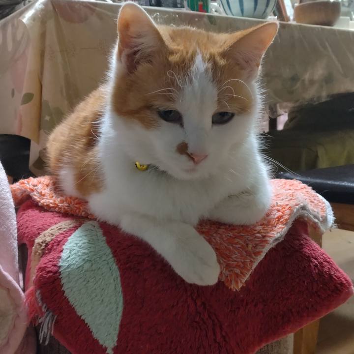 Eb5055c6 8a60 4245 8983 a78d9189d19f 1773098241354