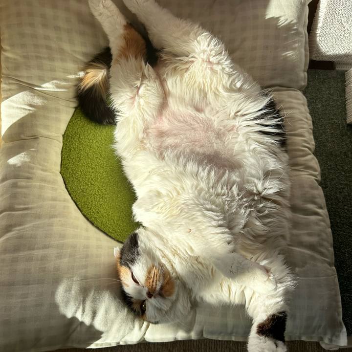 Eb508b36 d2d6 4e1f b9c8 8423d24370c8 1736381248777