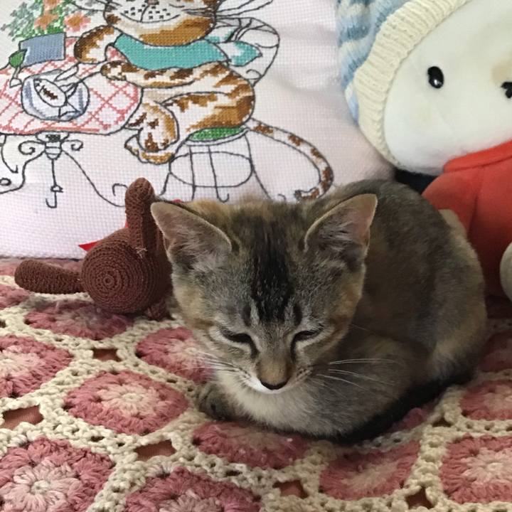 Eb50d0e7 4f6a 4b9c aafc acb3967f007f 1575415717567