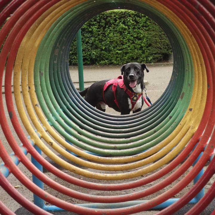 Eb50dc27 7317 473e 8a84 2d8ce8da95de 1595810397980