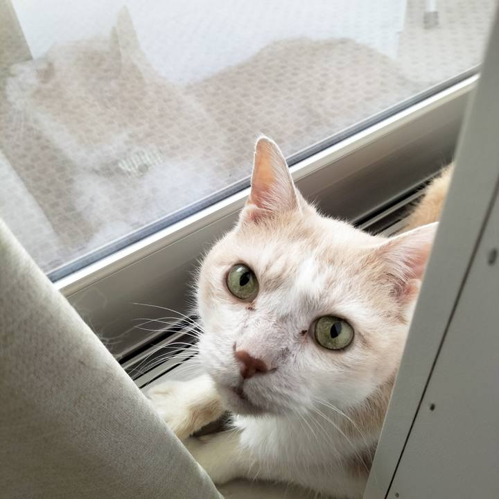 Eb50f646 21c1 4516 a786 7048b6479ebc 1690582410926