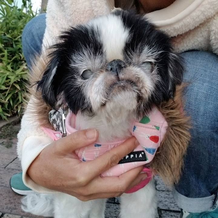 Eb510dc8 c066 415f 8781 cf0ab47ed0a0 1634820775555