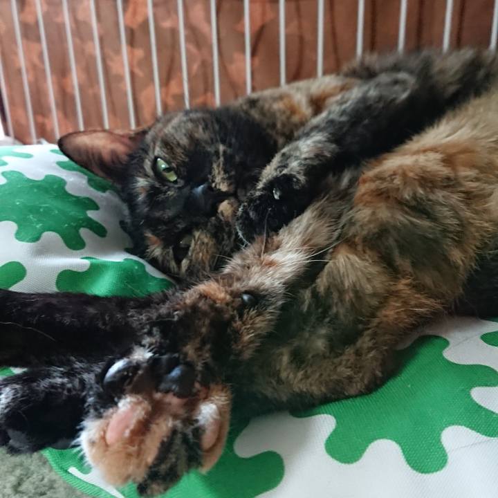 Eb51114e 2e08 447a 81af e70bad8395ae 1589983582408