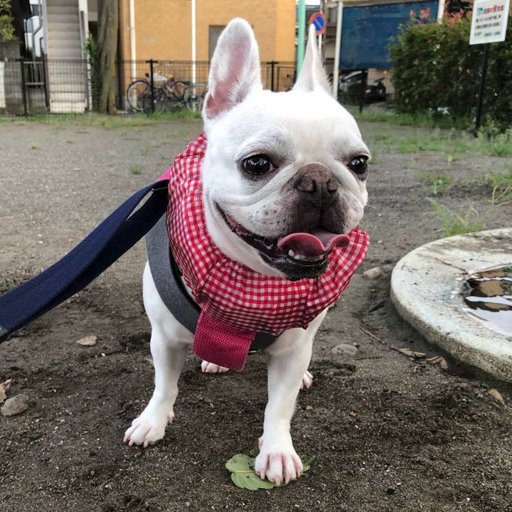 Eb511fb4 5925 479b 9101 f2d0730a93af 1628549362169