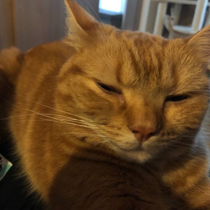 Eb5125a4 8558 447f 892b 62f135b2d1cd 1593680018427