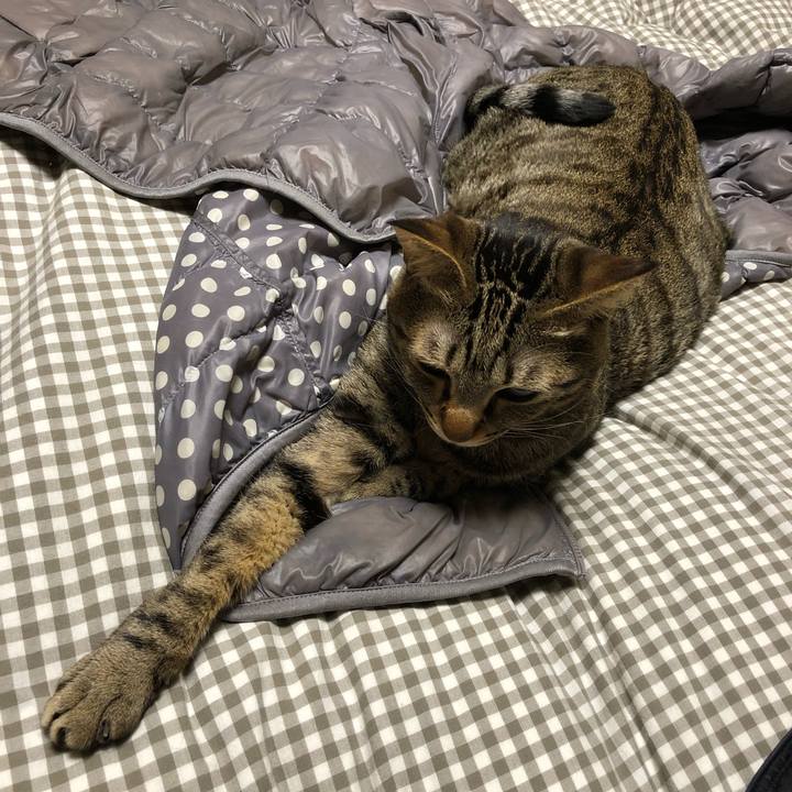 Eb51755f 62dc 4528 8315 a49cf1e9e1f6 1519750064666