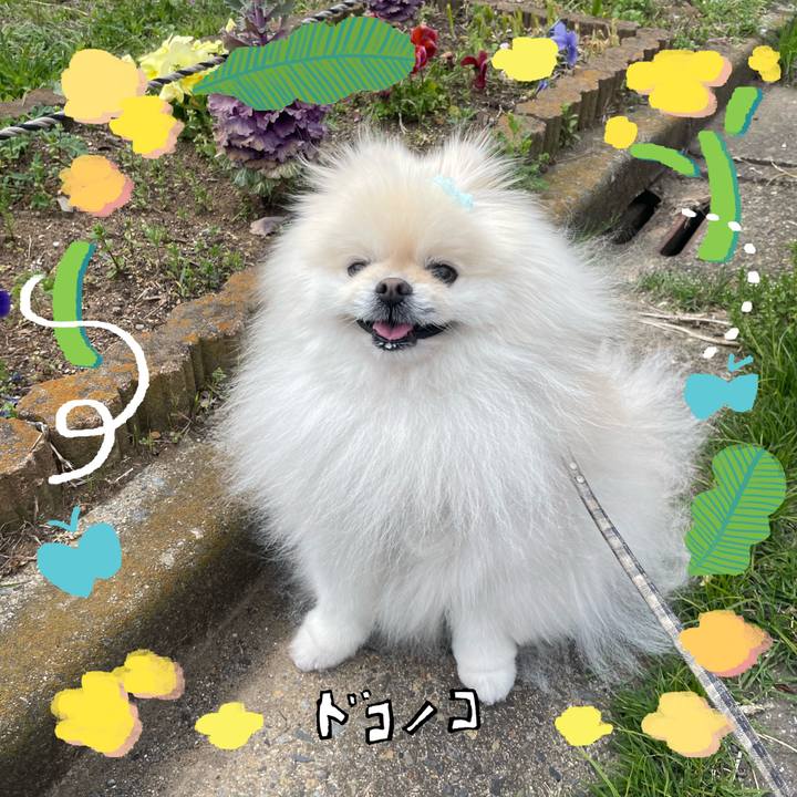 Eb51970c d00e 4214 9bc5 2d3e8f158a7e 1744260038263