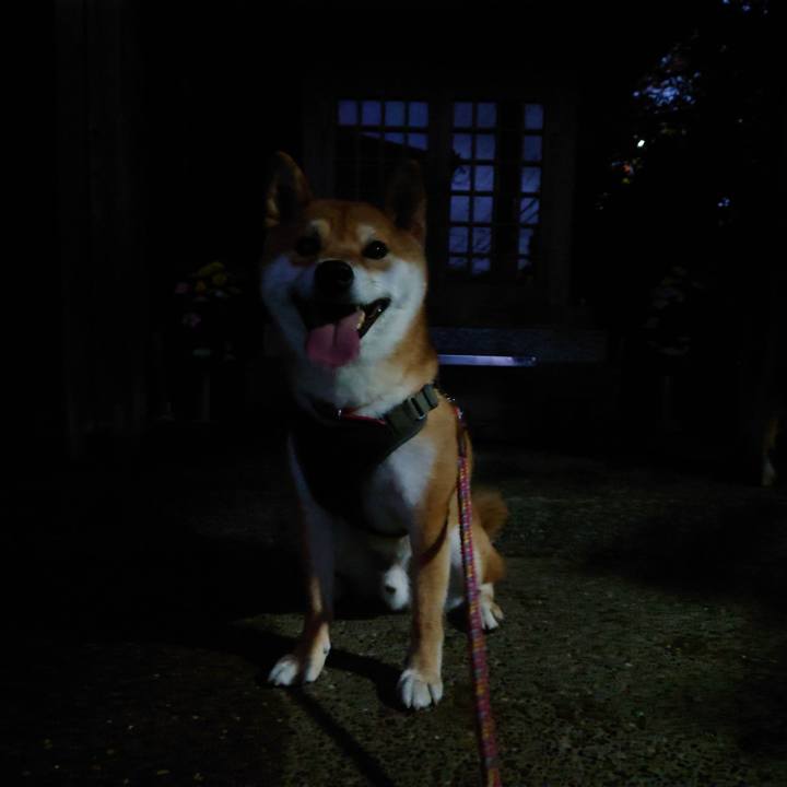 Eb51b95b 3c73 4d1e 83e9 b033f13aa2a1 1760485509172