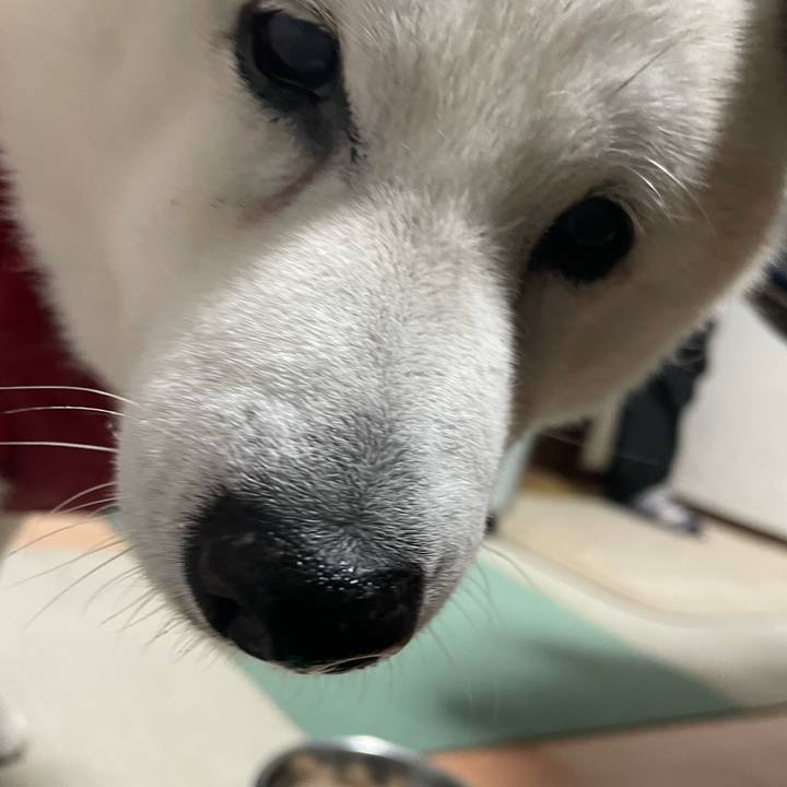 Eb520d4f fe85 48b3 ae73 08f029bf38ab 1706355455001