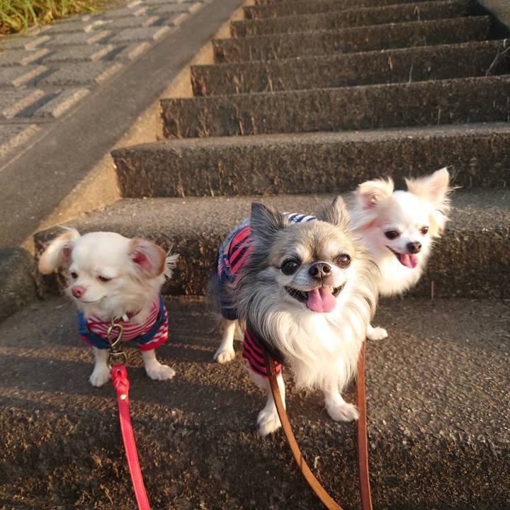 Eb52355c cbc5 4ea5 83f7 934393d3730a 1632748055414