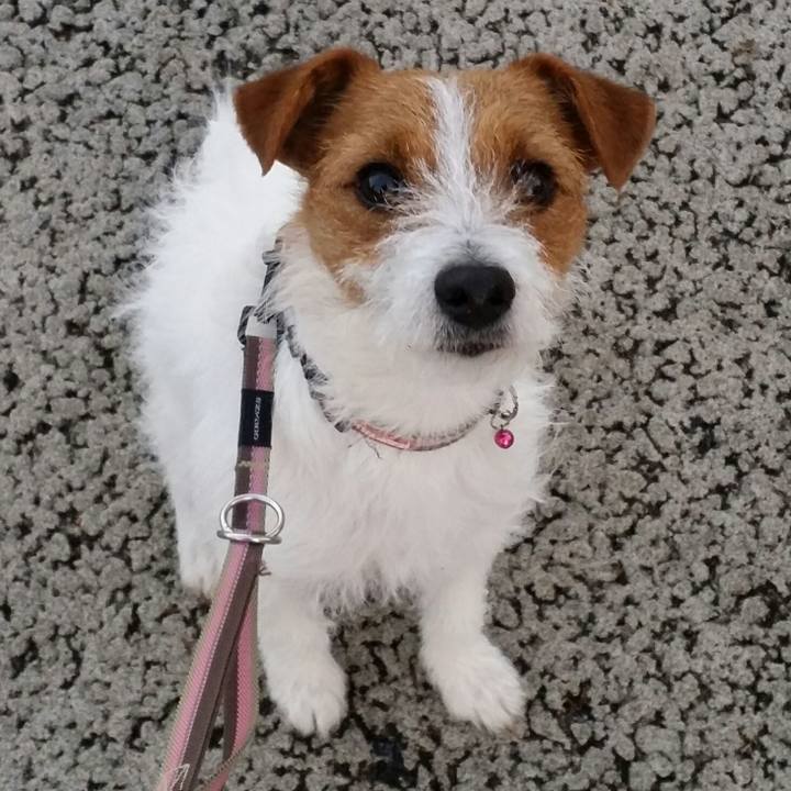 Eb524d16 37eb 44dc b02b 2f1d5d2294ca 1516228611973