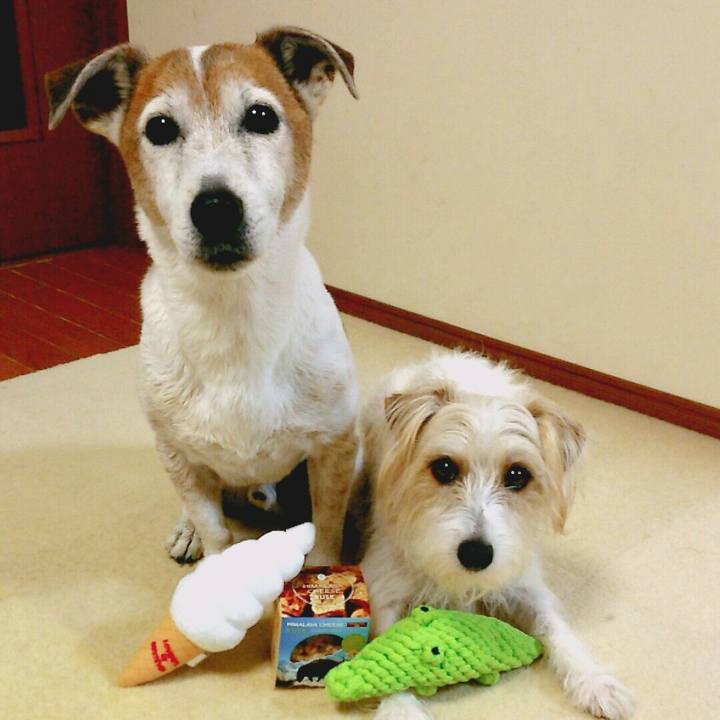 Eb525110 ad66 4274 a94f 6a68c7c18284 1519915498967