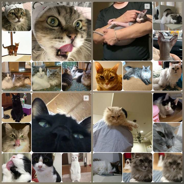 Eb52894b c85f 4fae a67c 531c82db25a9 1569230517955