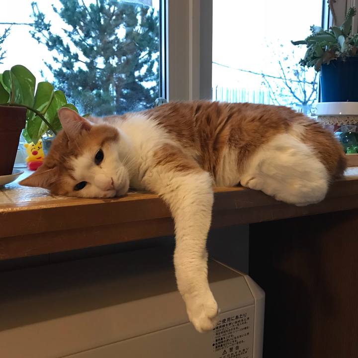 Eb52a57d 8c75 4ca0 9092 390bb755110d 1542576577774