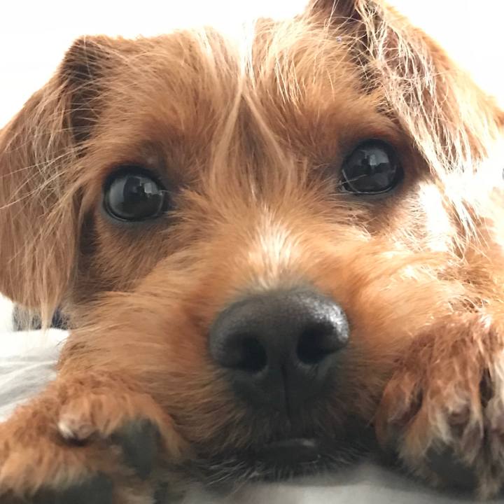 Eb52cba6 9370 4ae2 a490 2f5e8c859061 1661825933361