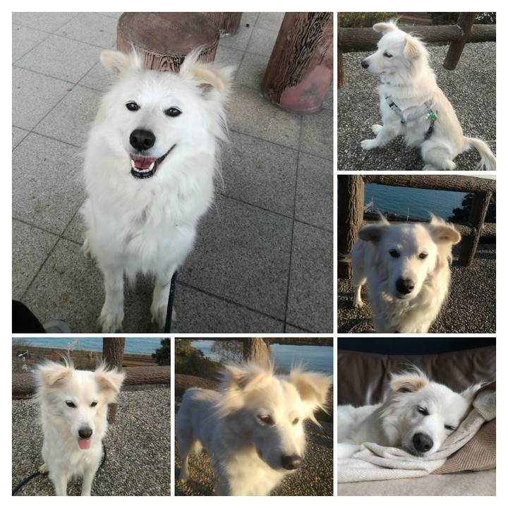 Eb52f429 8ccb 4001 a9ef e6e75196a5a1 1521853290504