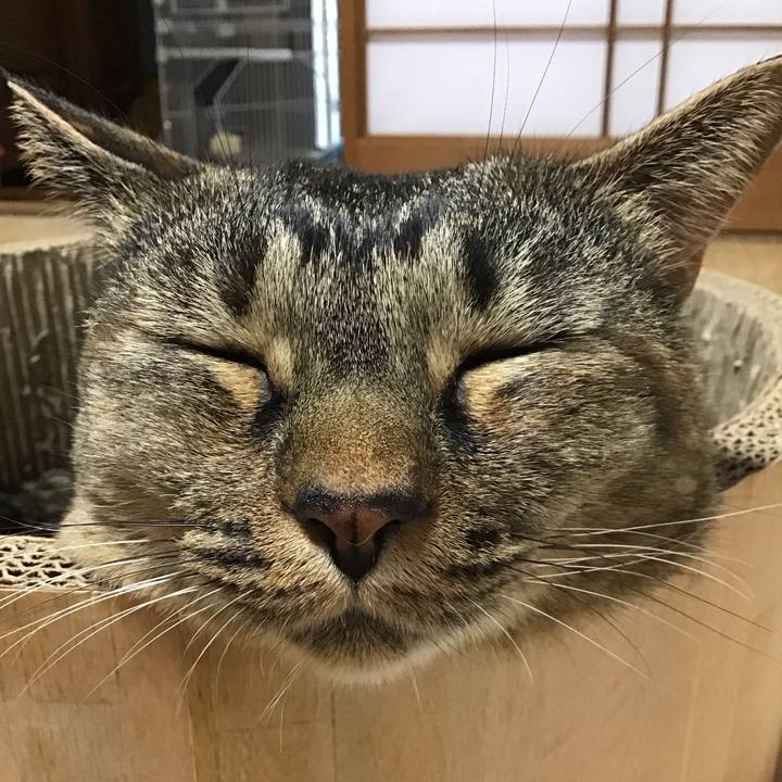 Eb531f4c 237b 4c11 8d7b 21ff1862ab0b 1729662186983