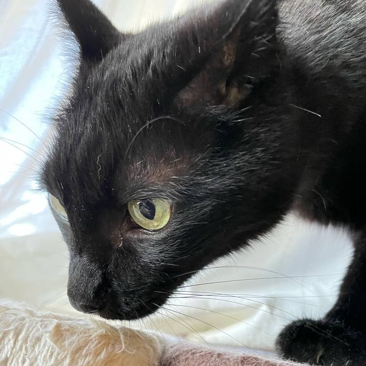 Eb5325e6 ea77 4bf8 acf0 46acf916260f 1653701447870