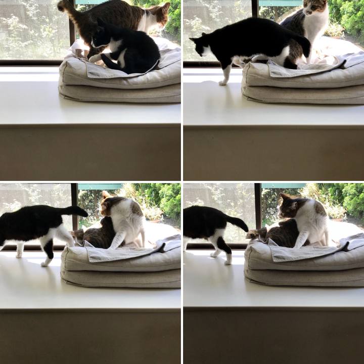 Eb53500d d1d7 447d 9a80 75f7bf00ec3e 1525063857032