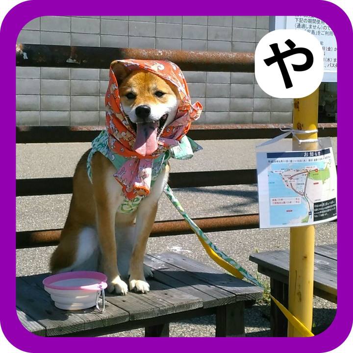 Eb535884 f27a 47ce bbab a1ac7c985819 1514804054712