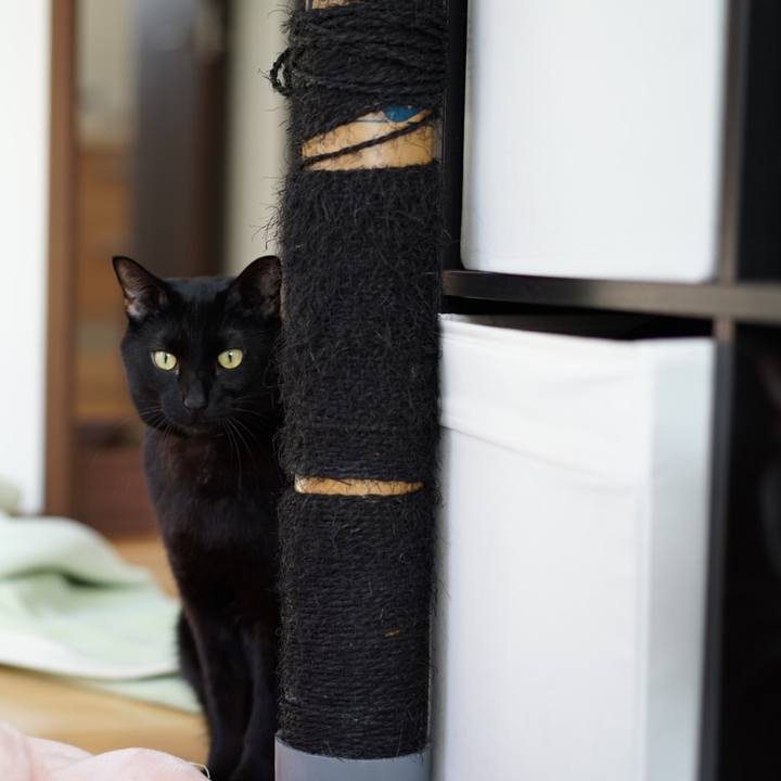 Eb5390b9 4cc8 479b 9f4c 435ae5f5186f 1548484270986