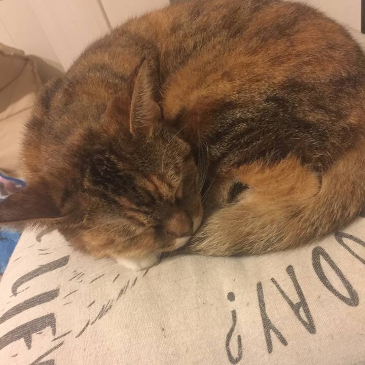 Eb53a173 ca82 4c1d 81d3 dcf292faafd5 1572635969235