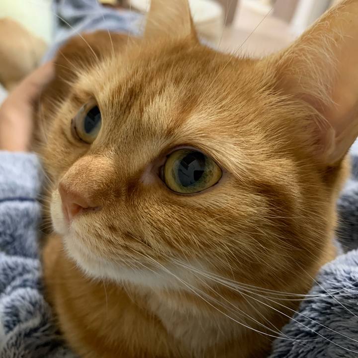 Eb53c849 b207 45c0 b3f8 ce8d1b66db40 1577623795754