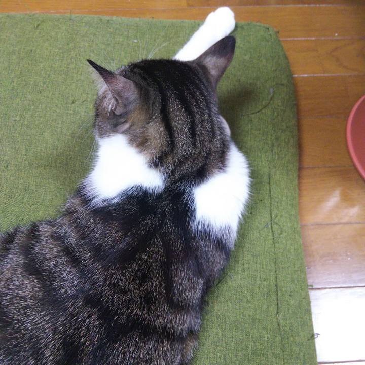 Eb53d843 47b5 485b b8c8 64c246bb07cf 1648030607994