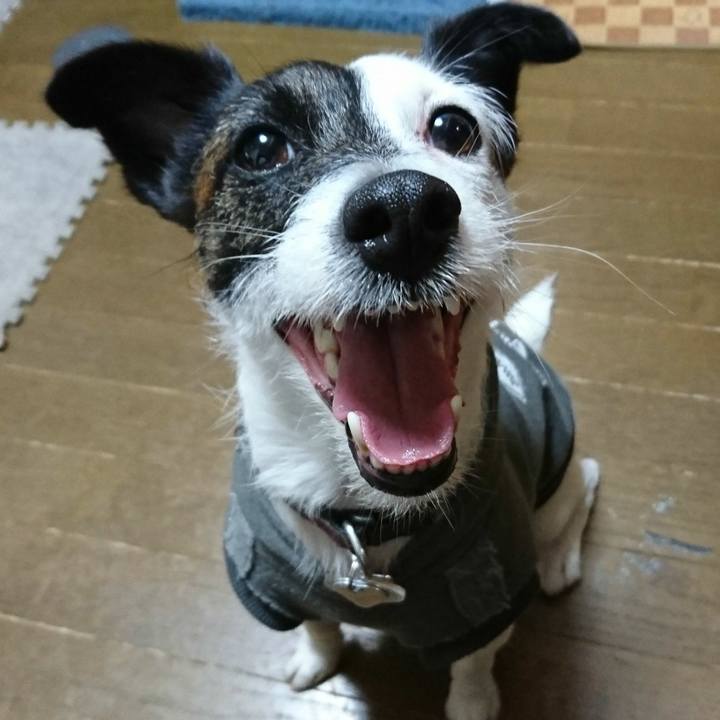 Eb54244a f5fa 4df9 a23f 9c7eeaabe8c7 1510492484155