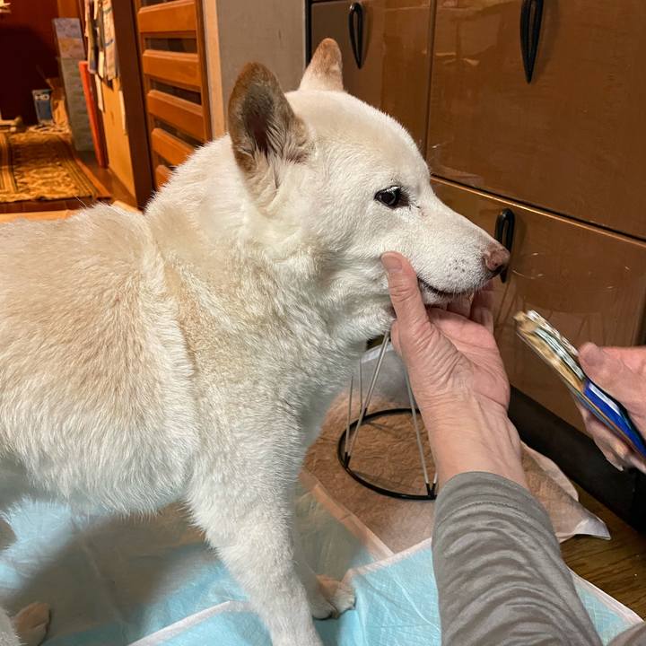 Eb5431d6 b1b7 47fd 9536 6ff7055d482c 1637488639550