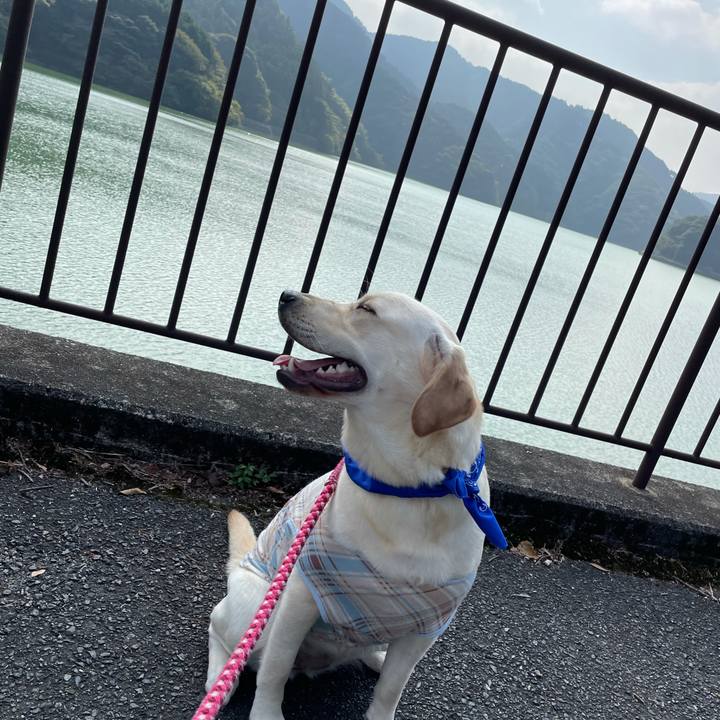 Eb544cd3 1e31 463b 9585 12602cd361d0 1635401020478