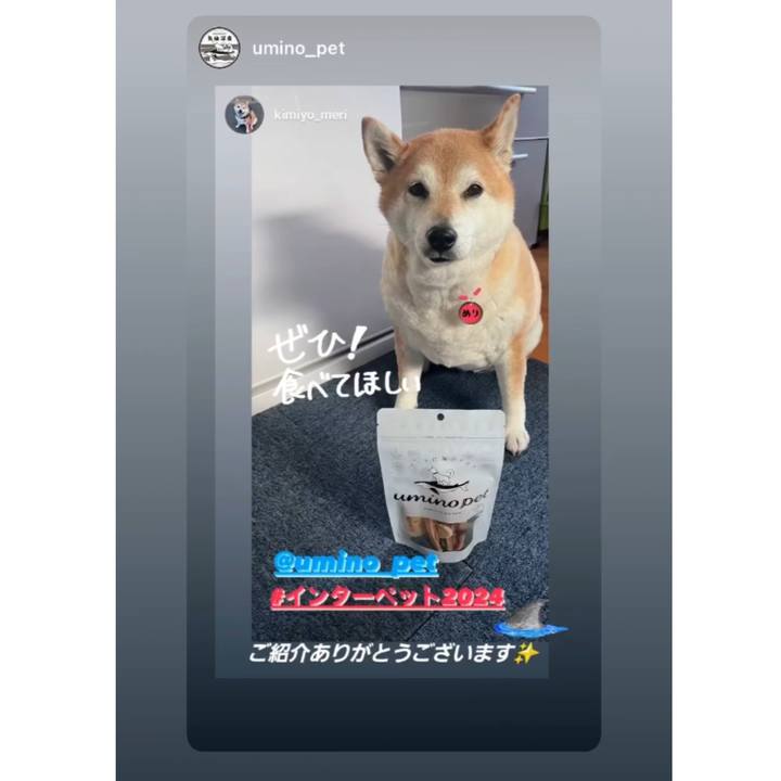 Eb546157 2467 4fdb b763 be1d04bae48c 1713315918351