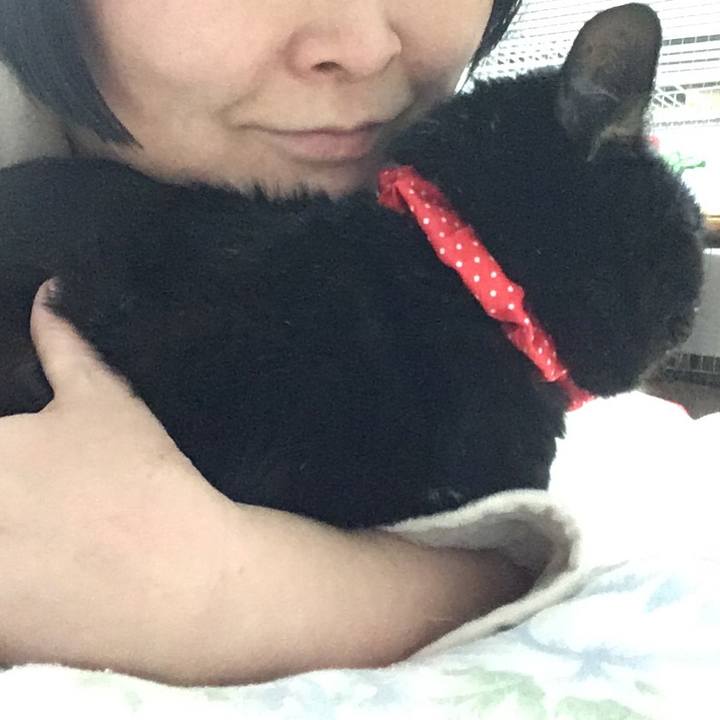 Eb54773a 8a64 429e ba9a 69138a48838a 1545650261865