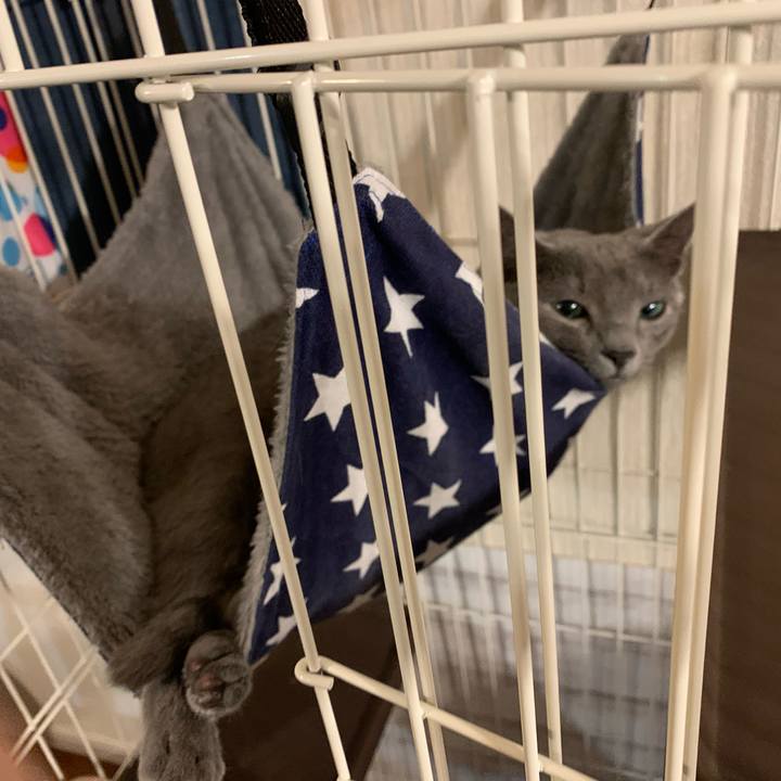 Eb54c753 8ca4 4b79 82a8 74cf6d6bbf3f 1577307260028