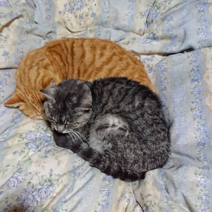 Eb54f04f 94ae 4179 ae2c 604d24fdc705 1582977003119