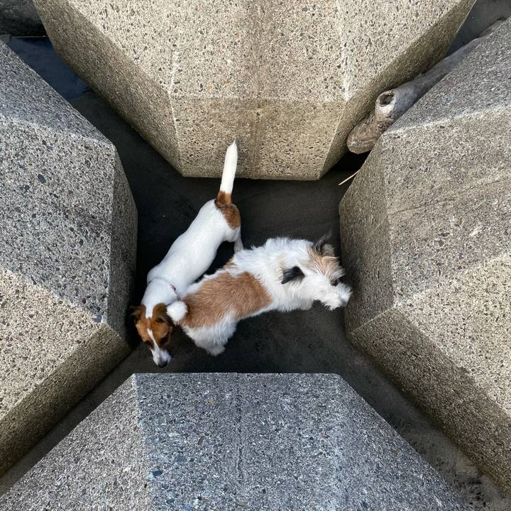 Eb54f55c 981a 4c00 b646 fd561e24f9c2 1632872045486