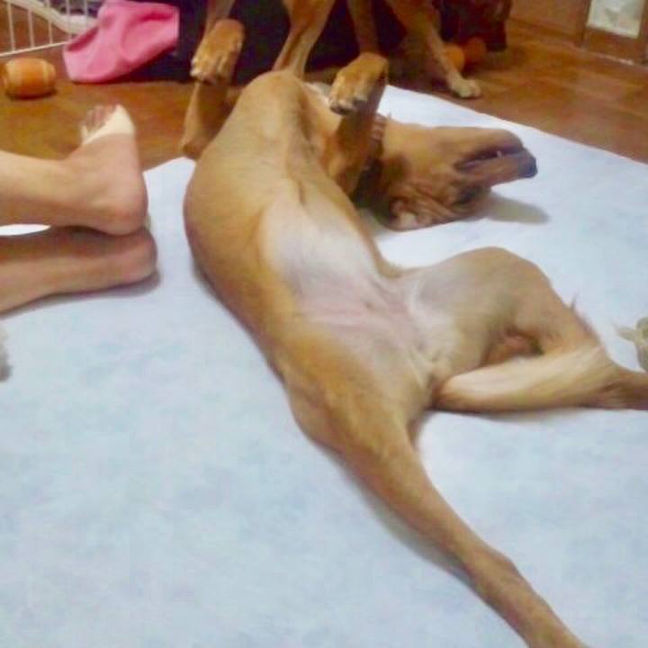 Eb55406e 7e7f 46e7 90a3 bedc6b6748dc 1559010838087